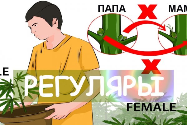 Тор для кракена