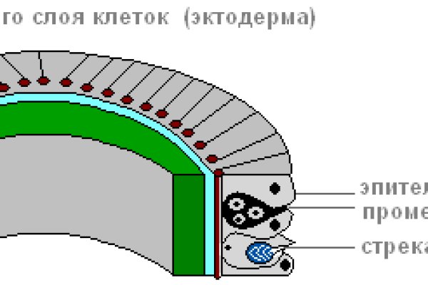 Кракен сайт ссылка kr2web in
