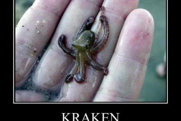 Кракен крипто